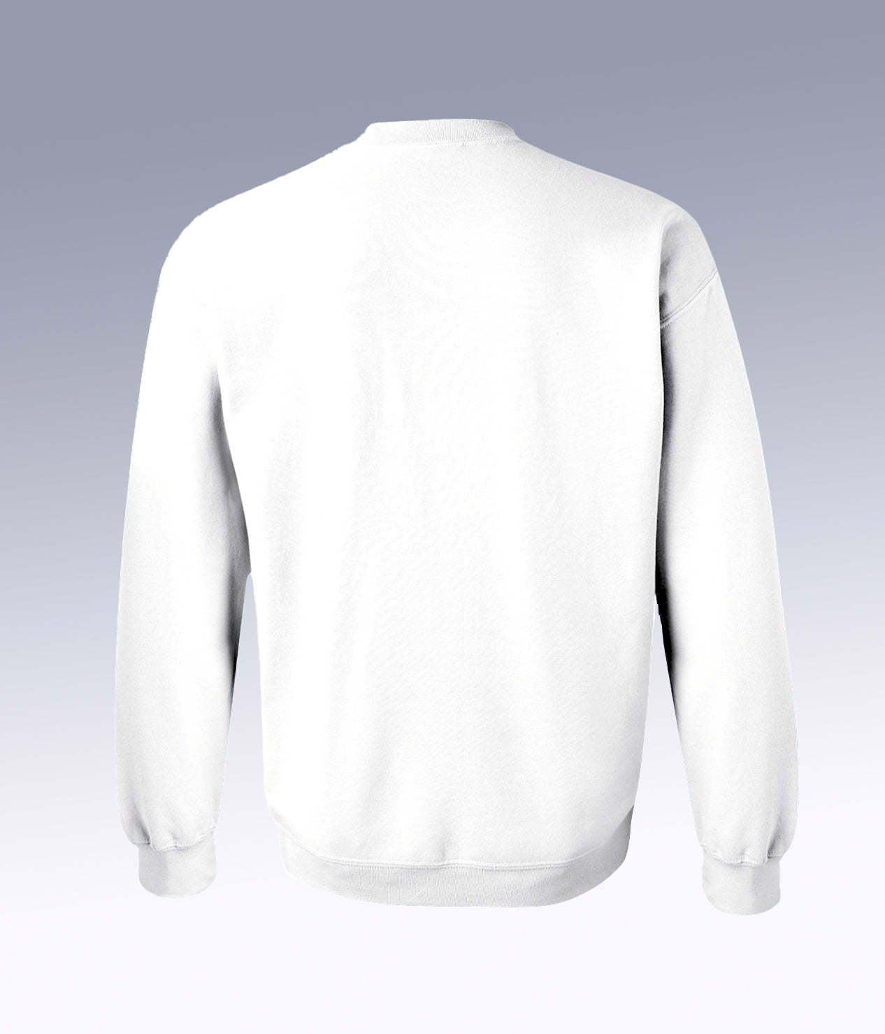 Project Gravitaur Crewneck Sweater